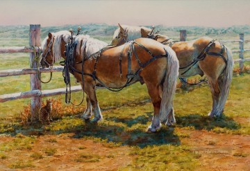 西アメリカ インディアナ州 77頭の馬 Oil Paintings
